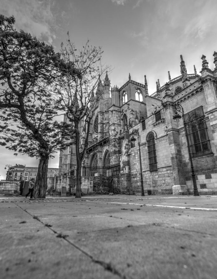 Vista de la catedral de león desde el suelo de la Plaza Puerta del Obispo