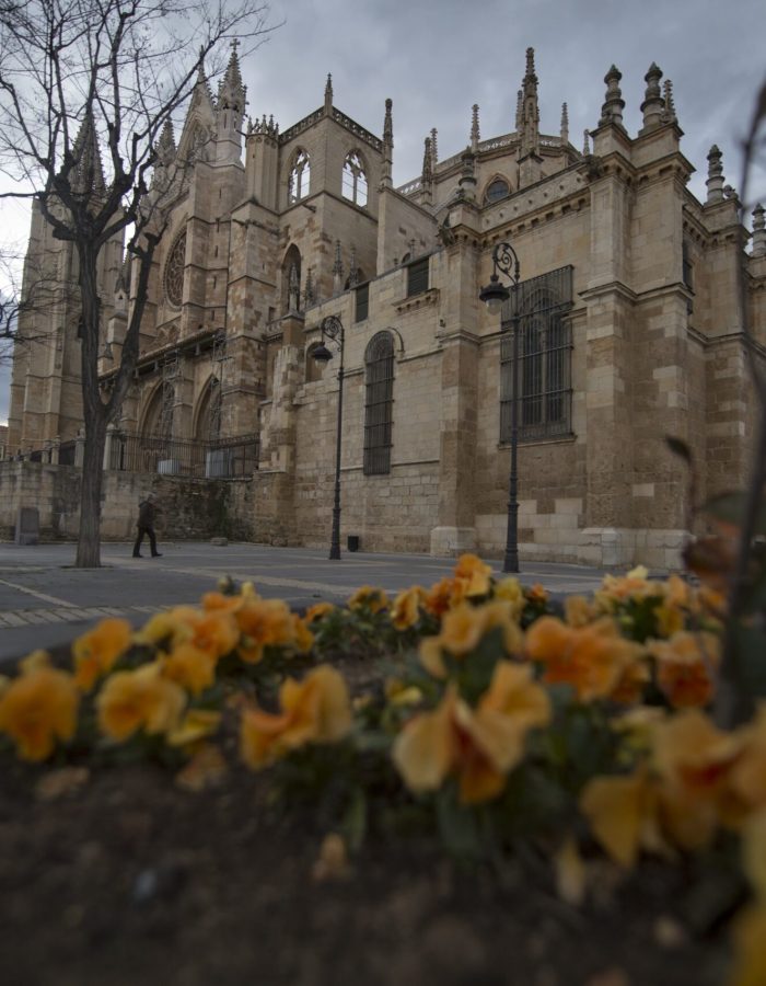 Vista trasera dela Catedral de león desde jardinera