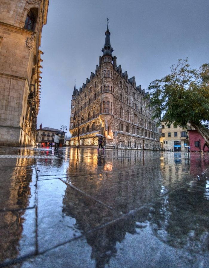 Reflejo de la parte trasera de Botines
