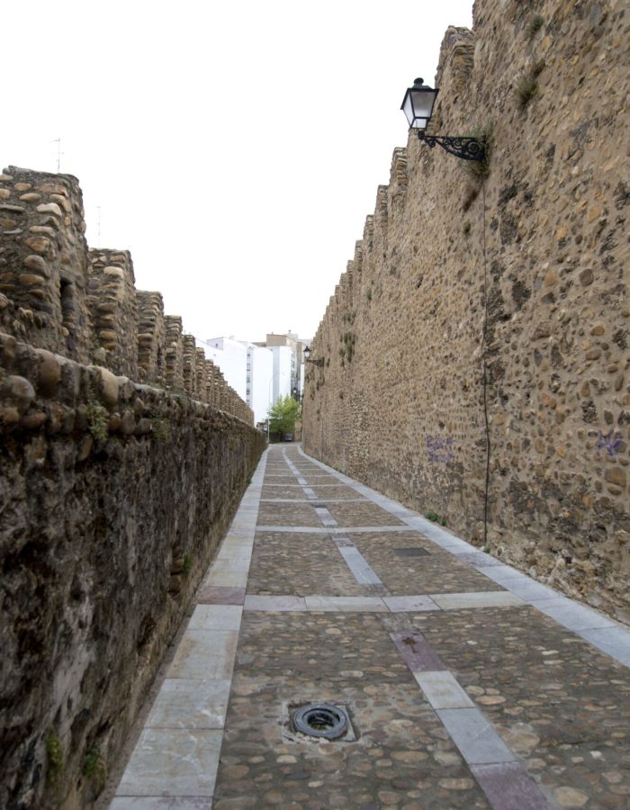 Interior de la Muralla Romana